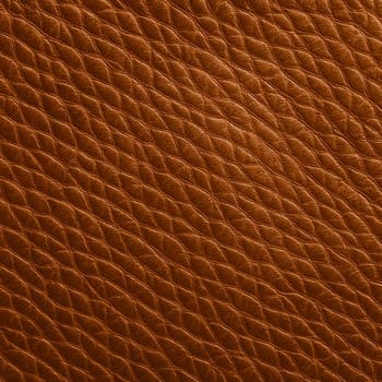 Derinin doğal tane dokusu — makro