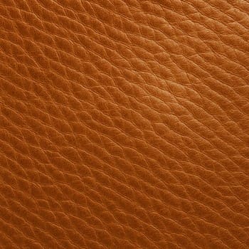 Laboratuvar numunesi — tane dokusu makro